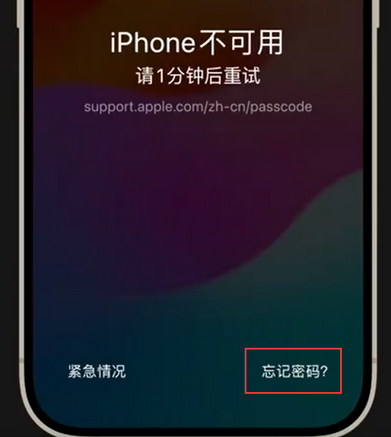 安泽苹果手机密码维修分享iPhone忘记了刚设置的密码 